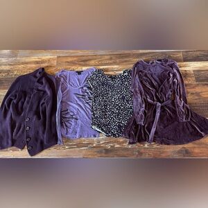 Purple Bundle: Sweater, Long Sleeve Blouse, Printed Top, & Crushed Velvet Dress